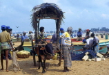 SRI LANKA, Negombo, fishing village, bullock cart (for transporting fish), SLK2115JPL