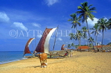 SRI LANKA, Negombo, fishing village, catamarans (fishing boats), SLK1511JPL
