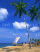 SRI LANKA, Negombo, fishing village, catamarans and coconut trees, SLK235JPL