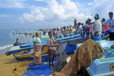 SRI LANKA, Negombo, fishing village, fishermen's boats just come in, SLK2091JPL