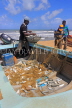 SRI LANKA, Negombo, fishing village, fishermen sorting the catch from their nets, SLK5982JPL