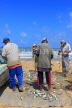 SRI LANKA, Negombo, fishing village, fishermen sorting the catch from their nets, SLK5985JPL