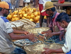 SRI LANKA, Negombo, fishmongers sorting catch into baskets, SLK1565JPL
