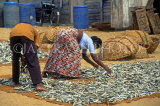 SRI LANKA, Negombo, fishmongers spreading fish out to dry in sun, SLK1713JPL