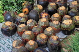 SRI LANKA, Negombo, market, fruit and vegetable market, Thal (Palmyrah) fruit, SLK6201JPL