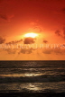 SRI LANKA, Negombo, sunset and sea, SLK6367JPL