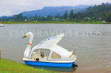 SRI LANKA, Nuwara Eliya, Gregory Lake, Swan Boat, SLK4421JPL