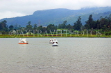 SRI LANKA, Nuwara Eliya, Gregory Lake, Swan Boats cruising the lake, SLK4424JPL