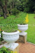 SRI LANKA, Nuwara Eliya, Victoria Park, ornamental pots, SLK4311JPL