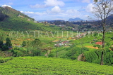 SRI LANKA, Nuwara Eliya, mountain scenery and Tea Plantations (estates), SLK4369JPL