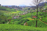 SRI LANKA, Nuwara Eliya, mountain scenery and Tea Plantations (estates), SLK4397JPL
