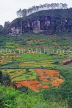 SRI LANKA, Nuwara Eliya area, hillside scenery, terraced farmed land, SLK4387JPL