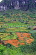 SRI LANKA, Nuwara Eliya area, hillside scenery, terraced farmed land, SLK4388JPL