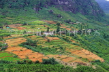 SRI LANKA, Nuwara Eliya area, hillside scenery, terraced farmed land, SLK4389JPL