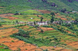 SRI LANKA, Nuwara Eliya area, hillside scenery, terraced farmed land, SLK4390JPL