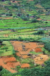 SRI LANKA, Nuwara Eliya area, hillside scenery, terraced farmed land, SLK4391JPL