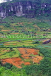 SRI LANKA, Nuwara Eliya area, hillside scenery, terraced farmed land, SLK4392JPL