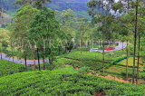 SRI LANKA, Nuwara Eliya area, road winding through Tea Plantations (estates), SLK4395JPL