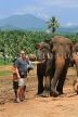 SRI LANKA, Pinnewala Elephant Orphanage, tourists petting adult elephant, SLK2397JPL