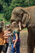 SRI LANKA, Pinnewala Elephant Orphanage, tourists petting elephant, SLK2377JPL