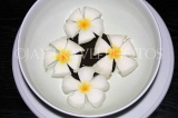 SRI LANKA, Plumeria (Frangipani) flowers in bowl, SLK2582JPL