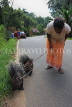 SRI LANKA, Porcupines and owner, along country road, SLK2509JPL