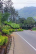 SRI LANKA, Pussellawa, Nuwara Eliya Road running through tea plantaions, SLK4228JPL