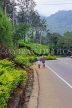 SRI LANKA, Pussellawa, Nuwara Eliya Road running through tea plantaions, SLK4229JPL