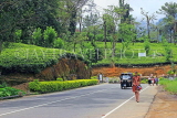 SRI LANKA, Pussellawa, Nuwara Eliya Road running through tea plantations, SLK4174JPL