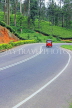 SRI LANKA, Pussellawa, Nuwara Eliya Road running through tea plantations, SLK4210JPL