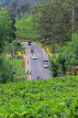SRI LANKA, Pussellawa, Nuwara Eliya Road running through tea plantations, SLK4212JPL