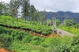 SRI LANKA, Pussellawa, tea plantation (estate), SLK4178JPL