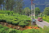 SRI LANKA, Pussellawa, tea plantation (estate), and public bus, SLK4181JPL