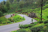 SRI LANKA, Ramboda, near Nuwara Eliya, road winding through Tea Plantations, SLK4385JPL