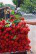 SRI LANKA, Rambutan fruit stall, along Kandy Road, SLK2463JPL