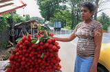 SRI LANKA, Rambutan fruit stall and vendor, along Kandy Road, SLK2464JPL