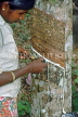 SRI LANKA, Ratnapura, Rubber plantation, worker tapping rubber tree, SLK1889JPL