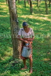 SRI LANKA, Ratnapura, Rubber plantation, worker with bucket for collecting sap from tree, SLK1806JPL
