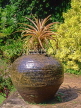 SRI LANKA, South Coast, BRIEF gardens, large potted plant, SLK1549JPL