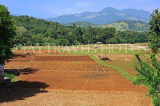 SRI LANKA, countryside, rice (paddy) fields, ploughed field, SLK2983JPL
