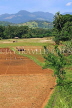 SRI LANKA, countryside, rice (paddy) fields, ploughed field, SLK2984JPL