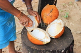 SRI LANKA, countryside, woman scooping out a king coconut (Thambili) kernel, SLK4572JPL