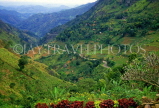 SRI LANKA, hill country, Ella, mountain scenery (view from Ella Rest House), SLK322JPL