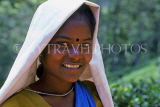 SRI LANKA, hill country, Nuwara Eliya, Tea plantation worker, portrait, SLK371JPL