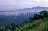 SRI LANKA, hill country scenery, near Nuwara Eliya, SLK201JPL