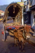 SRI LANKA, rural scene, Bullock Cart along Kandy Road, SLK1508JPL