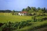 SRI LANKA, rural scene, rice (paddy) fields and house, near Tissamaharamaya, SLK1890JPL