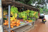 SRI LANKA, rural scene, roadside fruit stall, Bananas and King Coconut (Thambili), SLK4560JPL