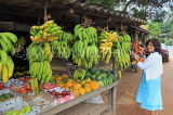SRI LANKA, rural scene, roadside fruit stall, bananas and customer, SLK4558JPL