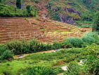 SRI LANKA, rural scene, terraced rice (paddy) fields, near Kandy, SLK1569JPL